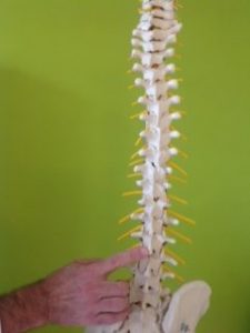 Dorntherapie